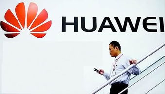 华为为啥要买断我的梦，华为为什么花8000万买一首歌