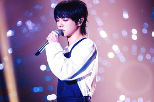 华晨宇一共开了多少场演唱会,华晨宇演唱会真实人数