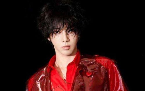 华晨宇现任老婆，华晨宇和张碧晨的女儿