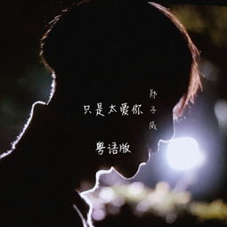 只是太爱你歌词，郑子威只是太爱你歌词