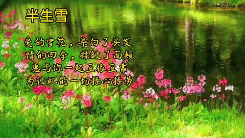 半生雪首歌暗示什么，《半生雪》背后的故事