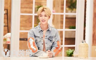 卓伟说鹿晗是最干净的明星，张艺兴跑男碰到鹿晗