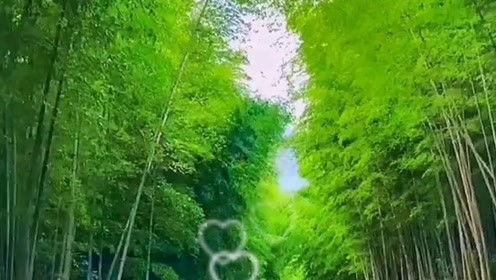 十首经典离别歌曲，送别的歌曲