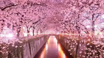 口哨最好听十首名歌曲,口哨曲《小路》