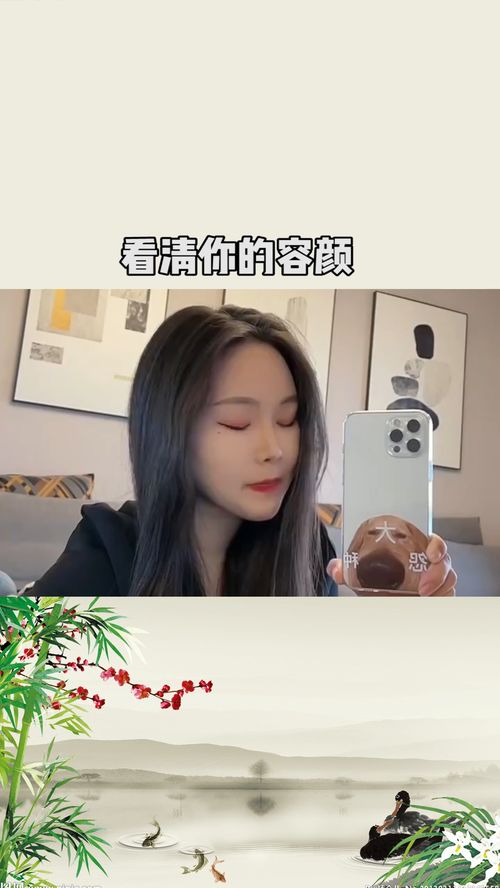 只为看清你的容颜是什么歌的歌词，抖音歌曲什么什么容颜