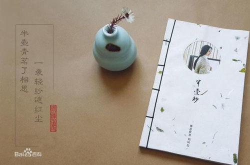 半壶纱歌词的真正含义是什么，半壶纱歌词大意