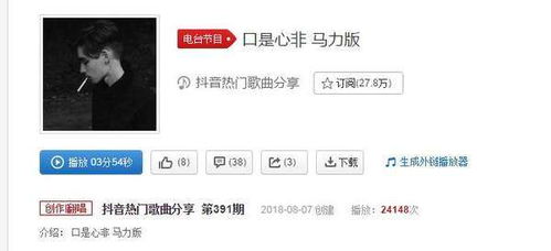 口是心非歌词表达的意思，口是心非完整版歌词