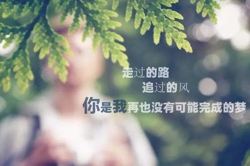 听一首歌发朋友圈说说，突然喜欢这首歌说说