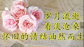 同学情永远在心间歌词，同学情永远在心间原唱下载