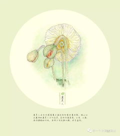 可是亲爱的你怎么不在我身边原唱，可是亲爱的你过得怎么样是什么歌