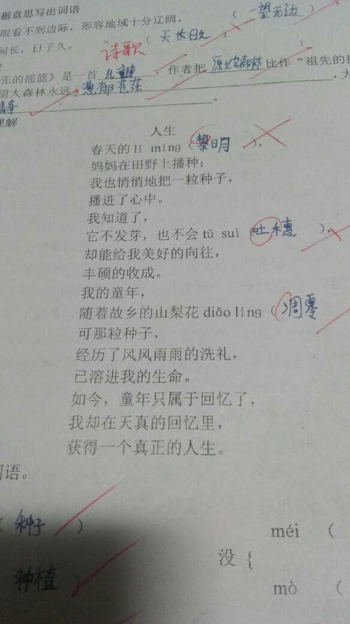 听家家命运这首歌的感受，命运这首歌是遗憾还是什么