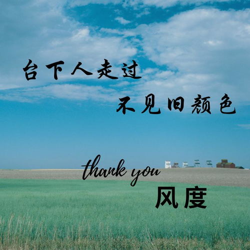 台下人走过歌词，歌曲《曲中人》