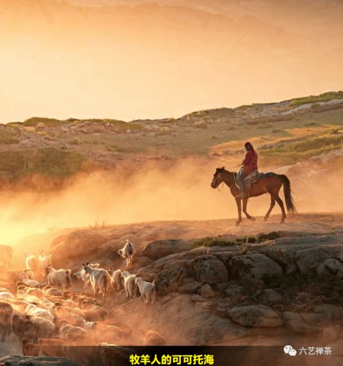 可可托海的牧羊人原唱，可可托海的真实故事结局