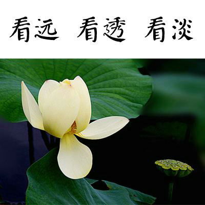 可有可无的句子经典，看淡一切无所谓的句子