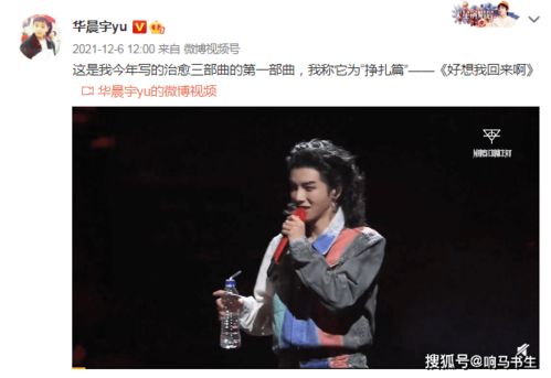 后来的我们翻唱，后来的我们华晨宇艾薇歌词