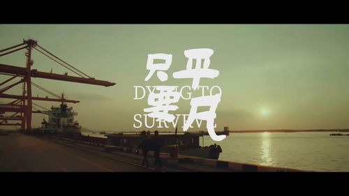 只要平凡是哪年的歌，只要平凡爱情的寓意