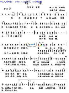 后来的我们这首歌的含义,后来的我们表达了不舍吗