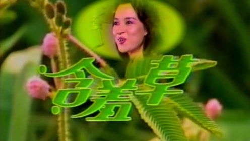 含羞草翁倩玉原唱,翁倩玉最好听的歌