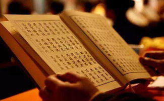 听佛号睡觉到底好不好,听佛经睡着的人