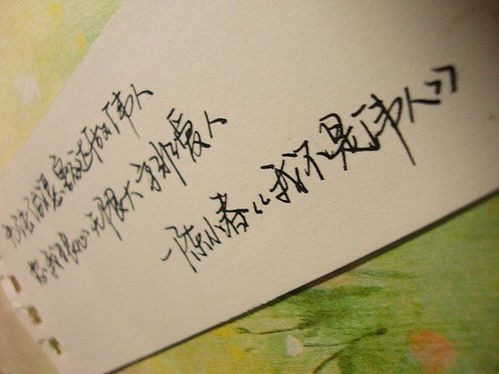 含有爱的歌词100首，一人一句带有爱字的歌词