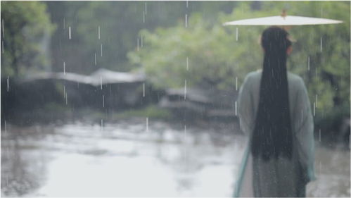 吹梦到西洲表达了什么意思，男生发南风知我意吹梦到西洲