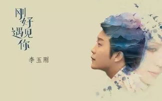 和遇见很像的一首歌，《刚好遇见你》歌曲