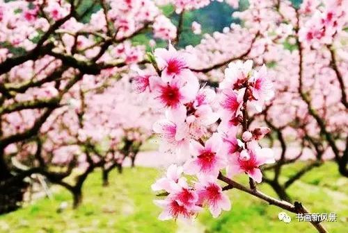 唱出美好吉祥美好吉祥是什么歌,美好吉祥歌曲完整版