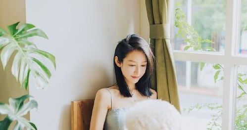 唱夫妻相濡以沫的歌曲,夫妻恩爱白头到老歌曲