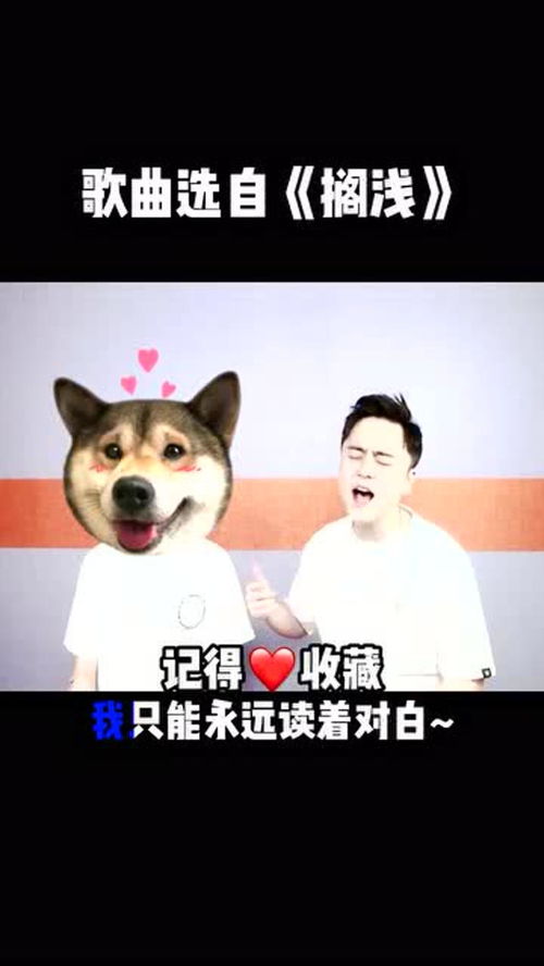 唱歌用真声还是假声，用假声唱歌很丢人吗