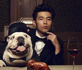 周杰伦自己作词的歌，周杰伦为别人写的经典歌曲