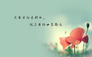 唱歌才是最快乐的句子，唱歌使人快乐经典语言