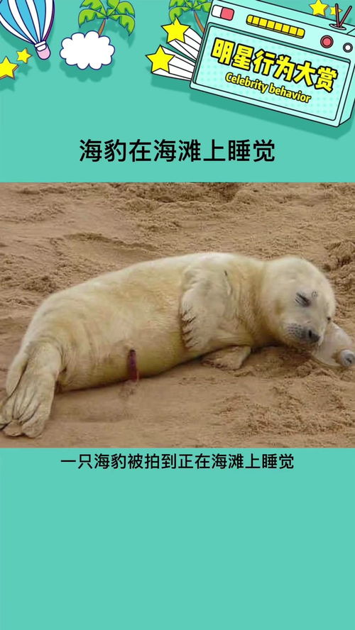 和自己说一声对不起歌词,跟过去的自己说一声对不起