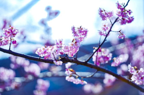 唱扬州的一首叫啥歌，有一首歌叫什么唱扬州的歌