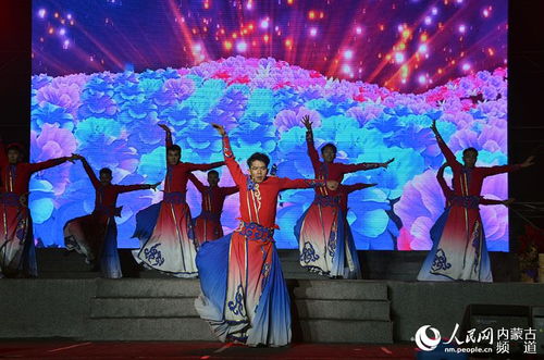 呼和浩特演唱会2023年8月，呼和浩特演出信息