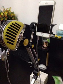 哪种麦克风唱歌效果好，k歌话筒哪个牌子音质好