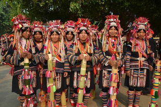 哈尼族音乐代表作品，哈尼族最火的十首歌曲