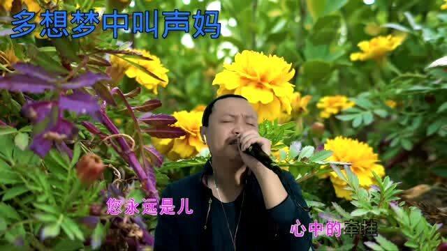 唱哭全场的妈妈的歌，怀念妈妈催人泪下的歌