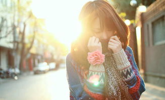 在你的怀中恨不能相拥,让我拥抱到你却无法拥有是什么歌