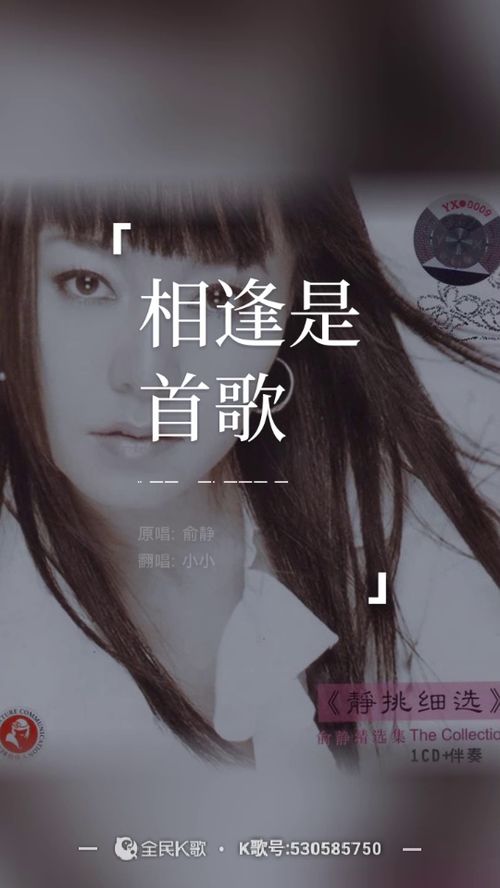 唱给心机婊的歌，送给贱人的歌曲