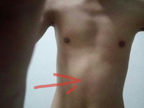 唱高音腹部要非常用力吗，腹部发音训练方式