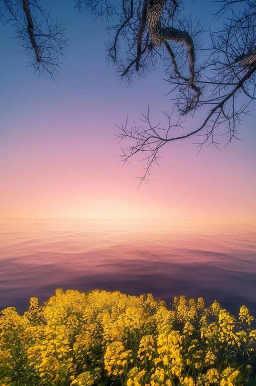 四季如你是什么意思,四季黄昏许你一生什么意思