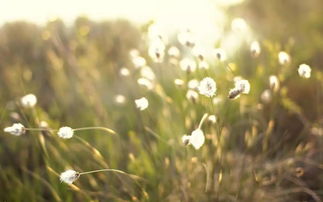 因为爱情总是难舍难分是什么歌，难道你不曾回头想想昨日的誓言