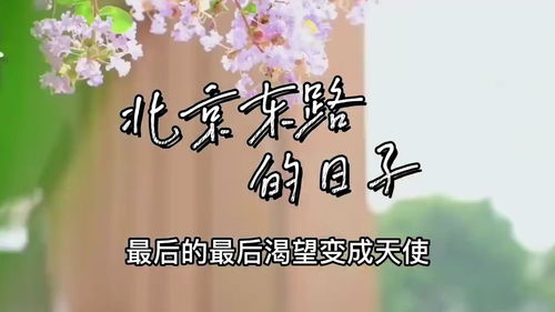 回忆啊我们的青春啊歌词，怀念我们的青春歌词