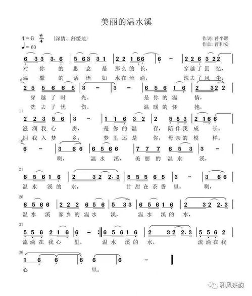 囚鸟歌词背后的意思,囚鸟这首歌的创作背景