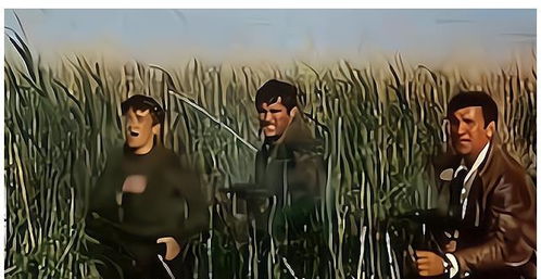 啊朋友再见原版,再见吧朋友《桥》