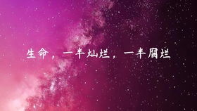 因为忍受着他的腐烂是什么歌,因为享受着它的灿烂