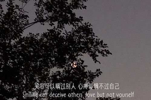 在我心里无人能代替你，你是唯一无人替代文案