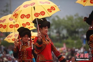 四川凉山彝族经典歌曲，彝族最火的几首歌