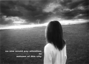 囚鸟所表达的情感，男人唱囚鸟是表白吗