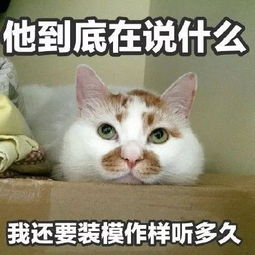 嗨的意思和含义，男人对你说嗨是什么意思